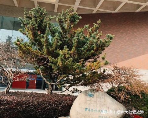 网友们的评论亮了笑死个人