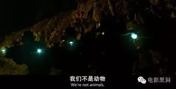 风水格局里的鬼影