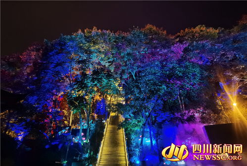 夜色里的灯光