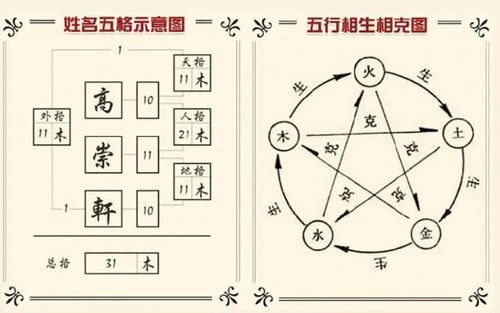 命与运：并非绝对对立