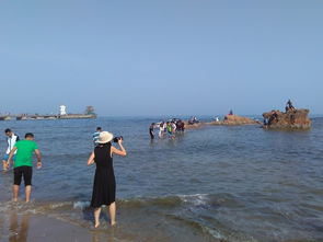 一、 初探秦皇岛，一场与海的邂逅，或者说是与鱼的博弈