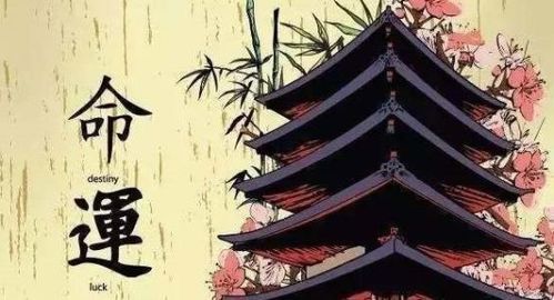 八字解析：星宿黯淡与劫煞之忧