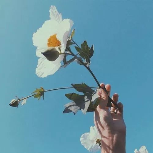 爱情这玩意儿，真的能让人疯掉