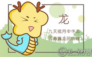 大哥和露宿分别是什么生肖？