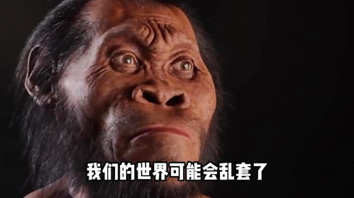 求财者的梦境指引