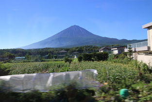 山梨篇：富有士山脚下的意外收获