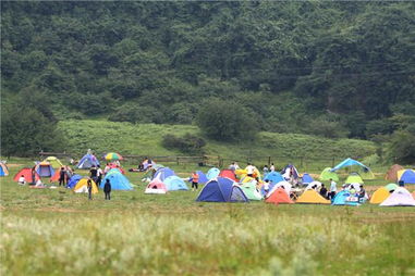 野营基地大吐槽：从天堂到地狱