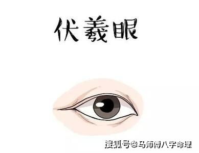 03 瞳孔大小决定你的财富密码