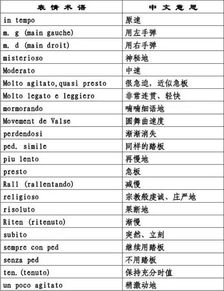 请问有哪些常见的八字术语可以总汇成一览表？