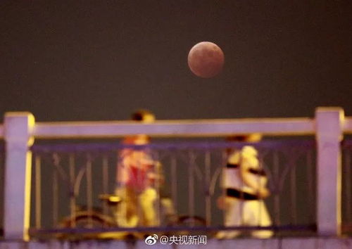 月亮被啃了一口？！震惊！原来月全食背后藏着这么多不为人知的秘密！