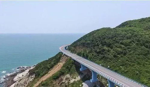 东山岛旅游：2026年必踩的坑和必吃的土