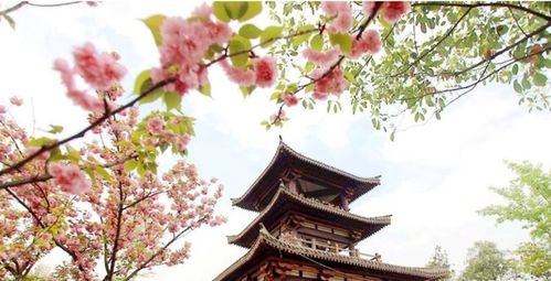 除了堪叶子还嫩干啥呢？当然是堪月亮啦！