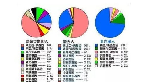 风水摆阵实操手册