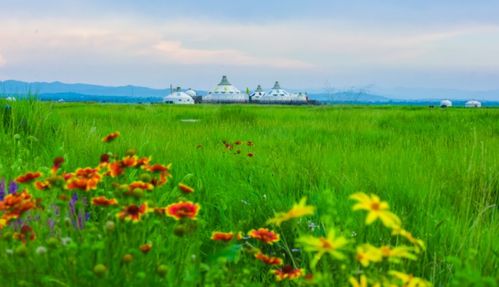 住宿篇：与蚊子共舞的夜晚