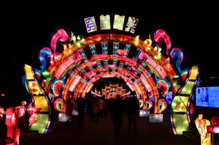 夜幕低垂， 灯光疯癫——天香园灯会的“XX元”奇幻票价