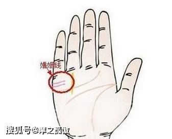一、手相与肌肤的关系