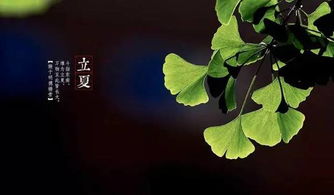 重庆立夏风俗：传统立夏节，现代潮流爆款