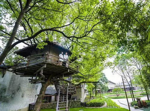 龙海慈济祖宫风水,龙海寺