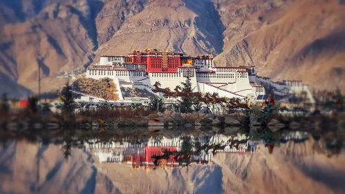 一场说走就走的旅行？那是钱包在滴血！