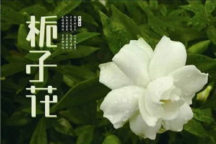 夜晚来这里更神秘