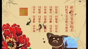 传统文化？随便抄抄就行