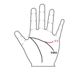 行业内收费模式