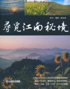 #乱入段落# 随机语句：今天阳光不错，但心情却像阴天一样阴郁。