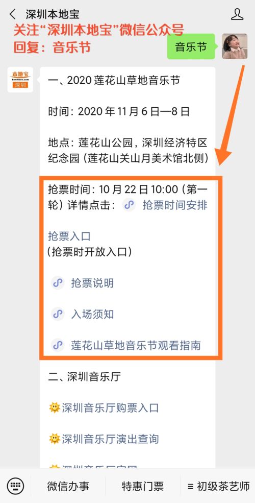 抢票生存指南：2026年最新玄学攻略