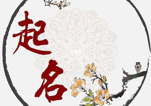 属马人取名最佳笔画改写为长尾是：按笔画取名，属马人取名时最佳笔画应该怎么选择呢？