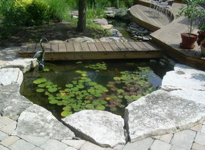 农村门前门后有水池,农村门前建水池风水好吗