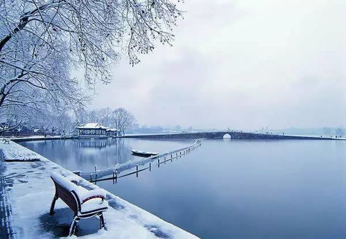 Mysterious Winter Wonderland: 喀纳斯湖畔 — 绿色幽梦与白雪交织