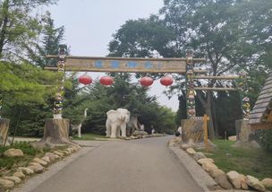 安丘：隐藏的宝藏