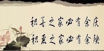 感悟因果