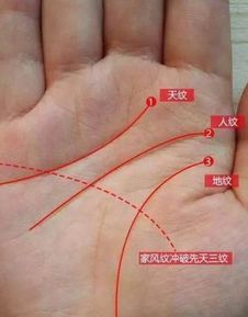 3. 压力倍增：身心俱疲