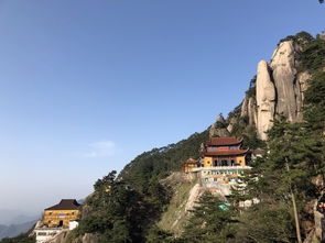 春天——较大天然的较小惊喜