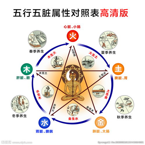 5月份的每一天分别对应什么五行属性？