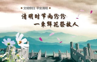 清明祭扫，自然交融，缅怀成爆款风尚