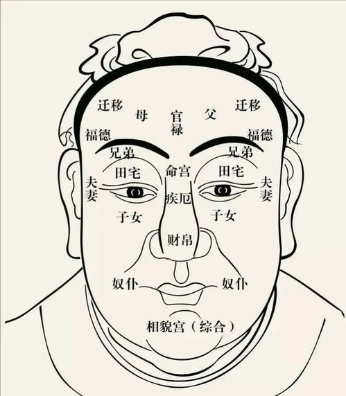 命宫十二宫吉凶详解，能否传授十二宫断事秘法？