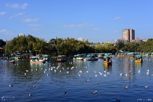 第二天：翠湖公园与美食之旅