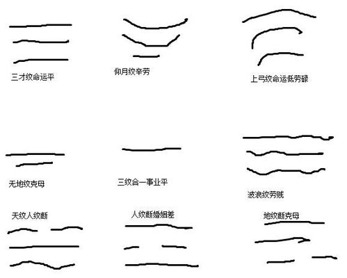 震惊！男人额头上这几道沟壑竟藏着惊天秘密！2026年运势大曝光！