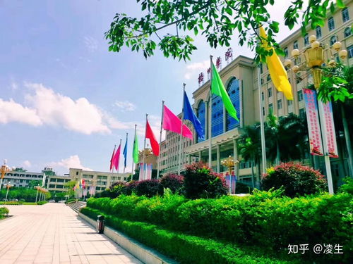 一、  初入梧州：热浪与宝石的奇异交响