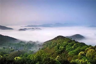 一、开场白——“嘿，你听说过太姥山的春日吗？”