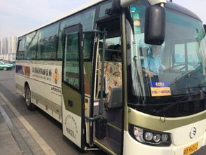 那条让人想死的公路