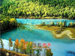 新疆旅游到底选哪家旅行社？——一篇乱七八糟的“指南”