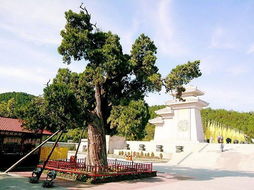 2. 黄帝陵