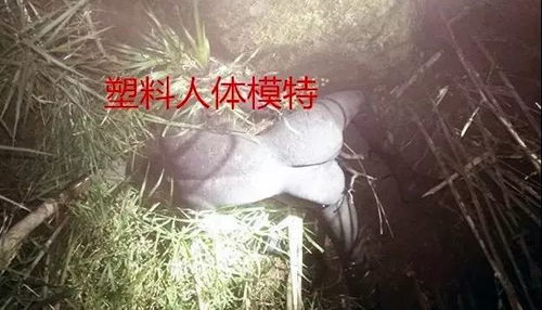 第三章：记忆的碎片