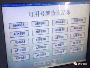 2026年10月有哪些吉日适合选车牌号？