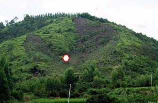 风水学阴宅选择,风水学阴宅选择