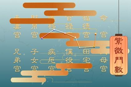 紫微斗数里的猫腻