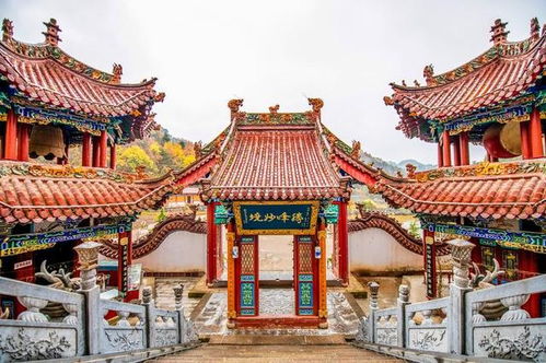 3. 廊坊较大佛山佛光世界：庄严与清雅融合